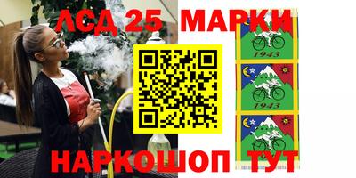 крисы Славгород