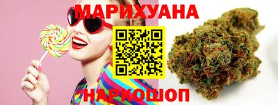 крисы Славгород