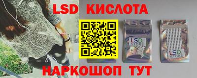 крисы Славгород