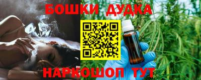 крисы Славгород
