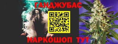 крисы Славгород