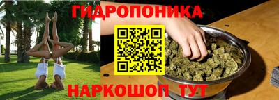 крисы Славгород