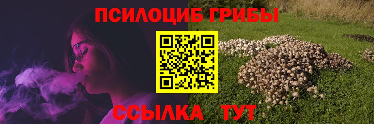 Фрязино  Галлюциногенные грибы мухоморы  Галлюциногенные грибы Psilocybine cubensis  Вход с VPN 